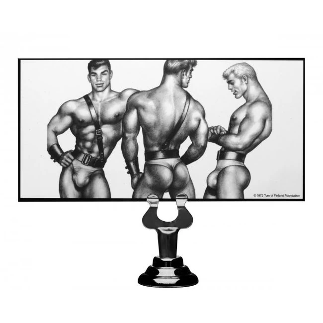 Tom of Finland Anal Plug Silicone - Material & Maintenance